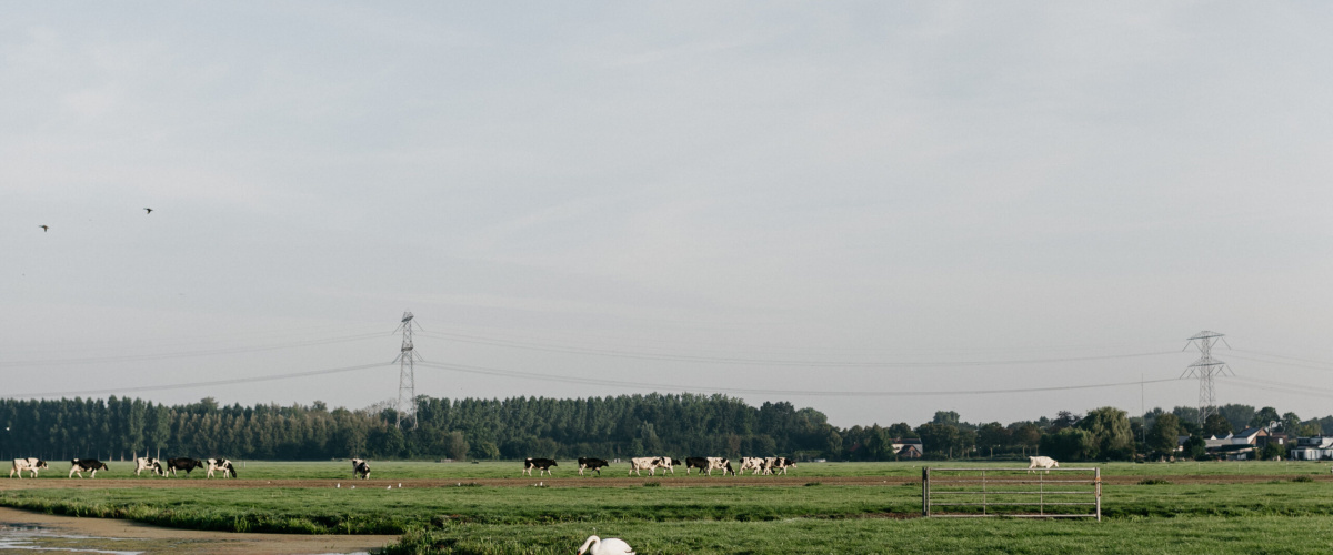 Effectief sturen op waterkwaliteit: meten of berekenen?