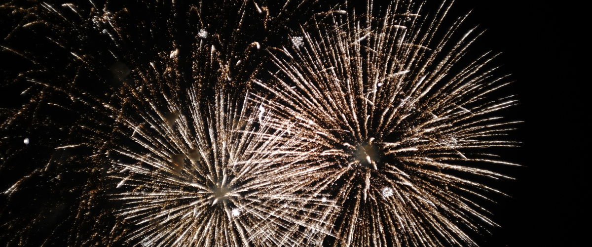 Nieuw jaar, nieuwe collega, nieuwe website, nieuw kantoor, nieuwe projecten: Proost op 2015!