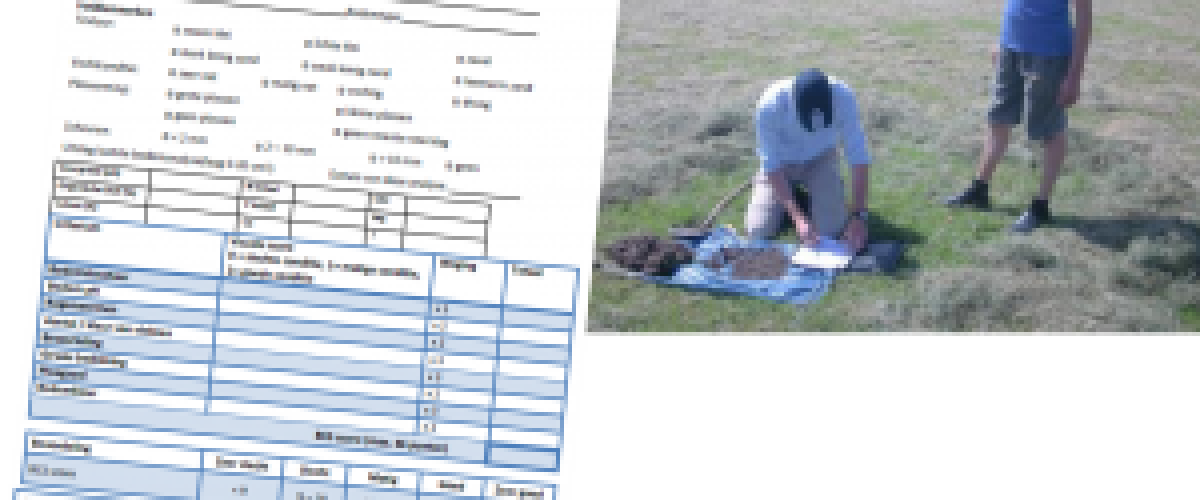 Speurtocht naar de koloniale kringloopboer: aftrap in Valthermond