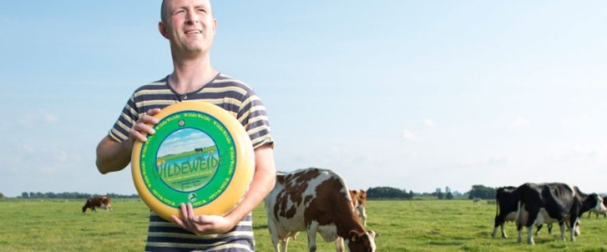 Wat is een goede ondernemer?