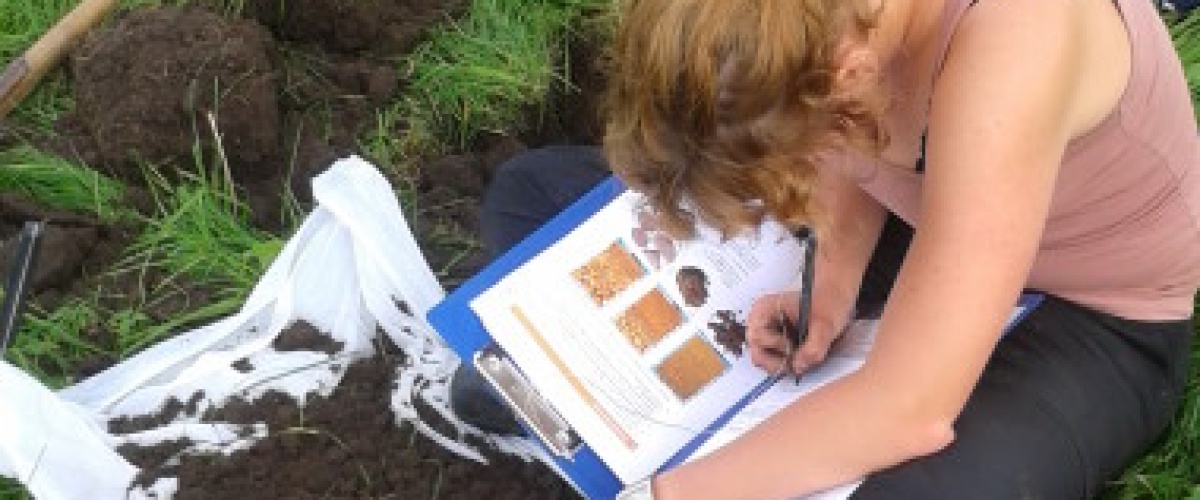 Wetenschappelijke onderbouwing van de BodemConditieScore