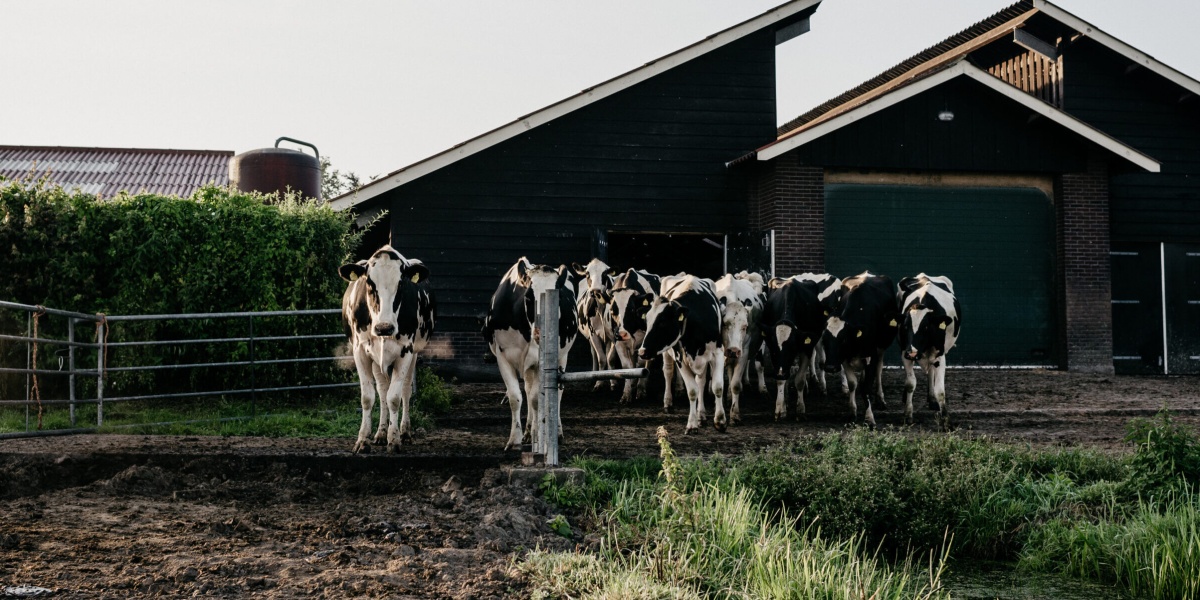 Emissiearme Bedrijfsvoering