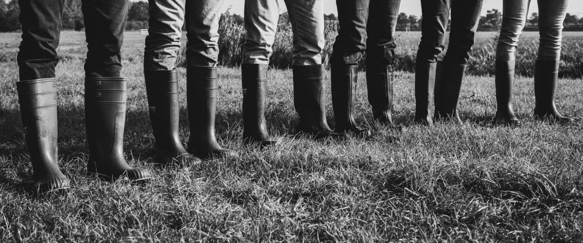 Boerenverstand over het coalitieakkoord 2026