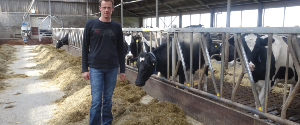 Bedrijfsportret: Berwoud Koster