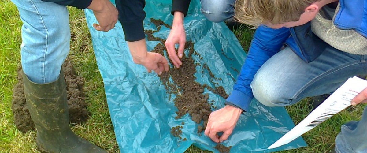 Agrarisch onderwijs aan de slag met BodemConditieScore