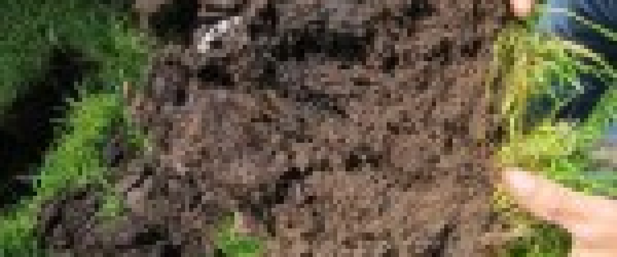 Met ANV Water,Land&amp;Dijken de bodem in!