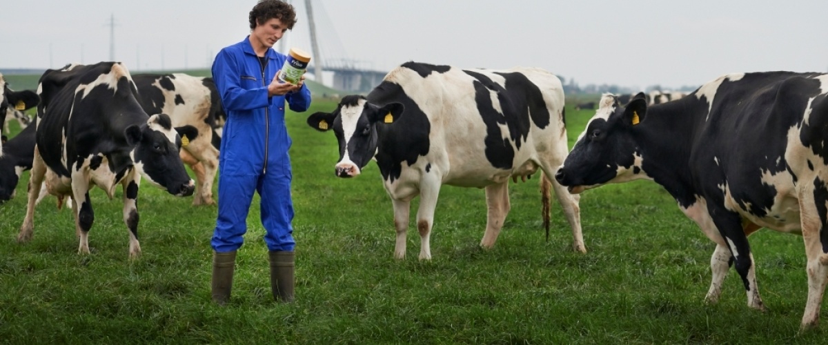 Bedrijfsportret: Jan Anne Roetman