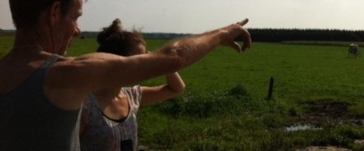 Bedrijfsportret Kors den Hartog