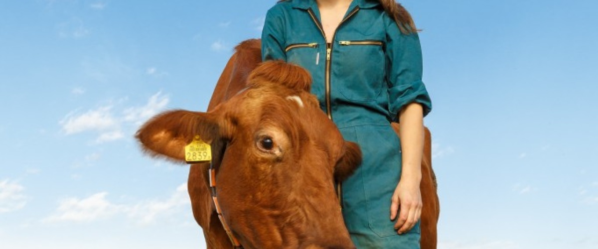 Boerenverstand gaat duurzame voer-strategieën doorgronden