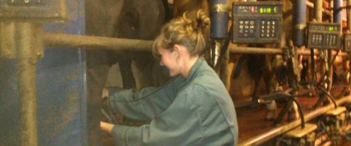 Spoedcursus boeren voor stadse hipster