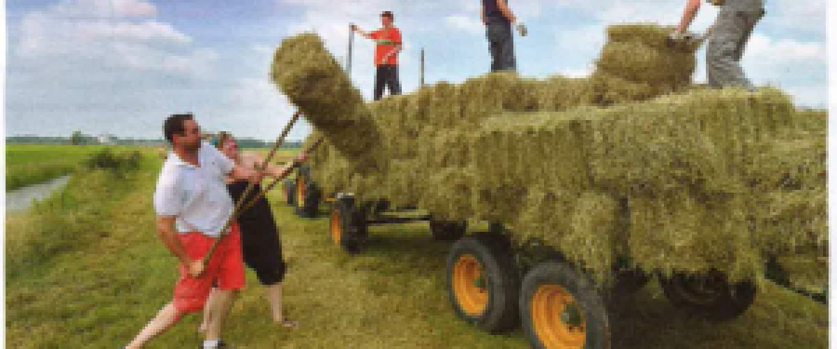 #hooidag2013 was een succes! Maar waarom moest er ook alweer meer gehooid worden?