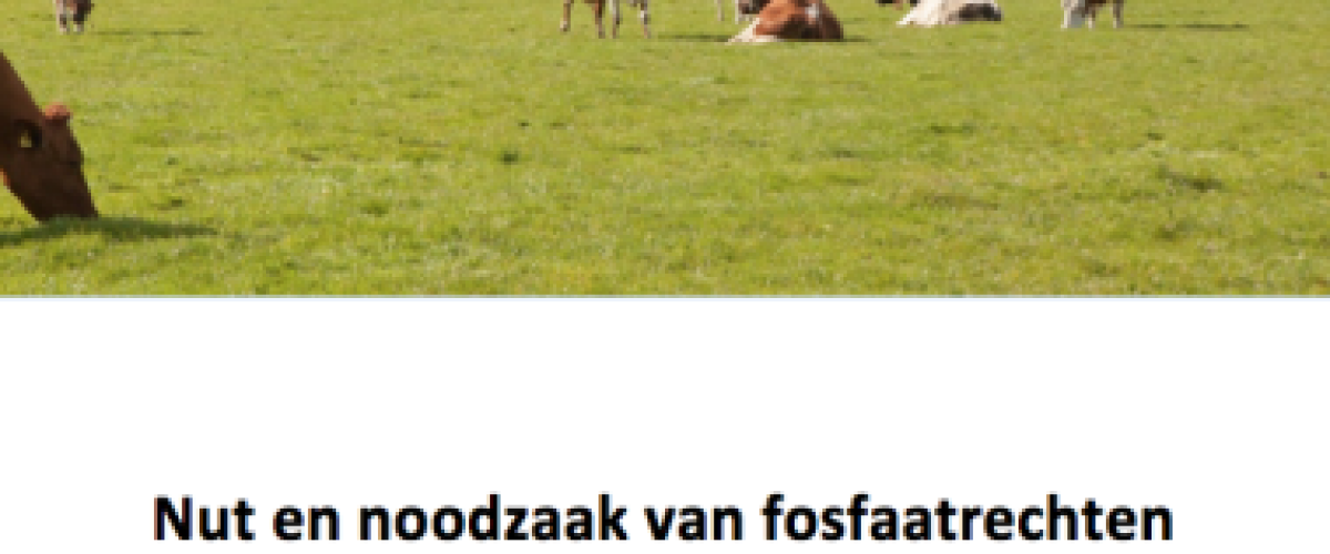 Meld u nu aan! Voor een leerzame en innoverende middag: “Nut en noodzaak van fosfaatrechten”