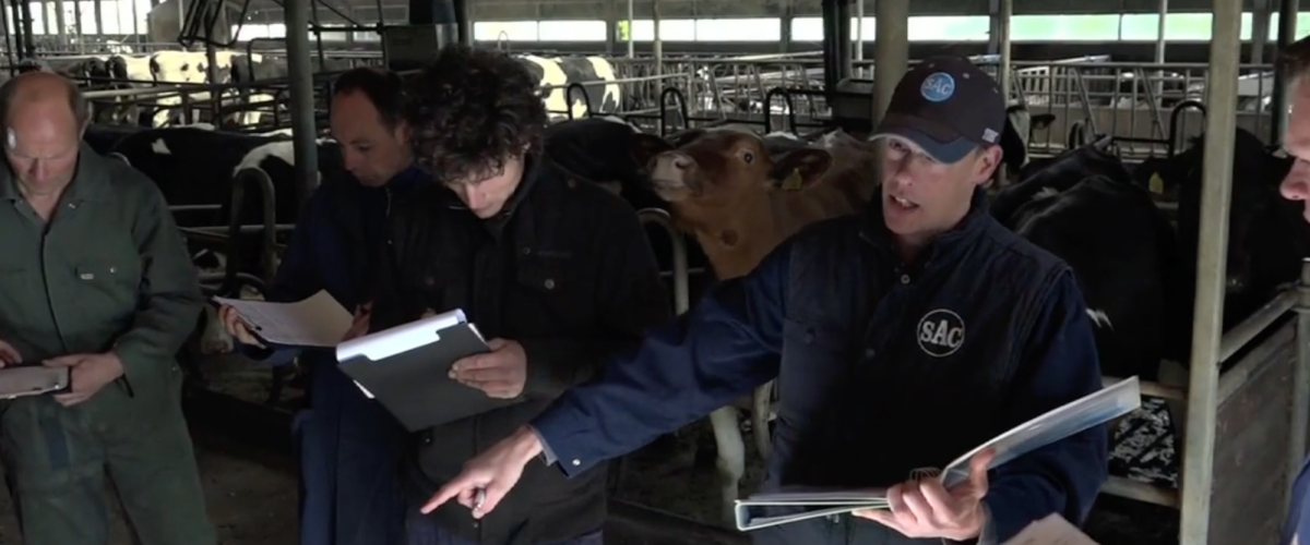 De BoerenCoaches uit de IJsseldelta presenteren zich