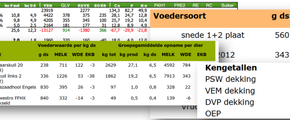 Winterrantsoen: Stuurt u zelf of laat u zich sturen?