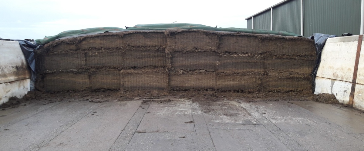 Uitreiking TOPkuil Gouwe Wiericke