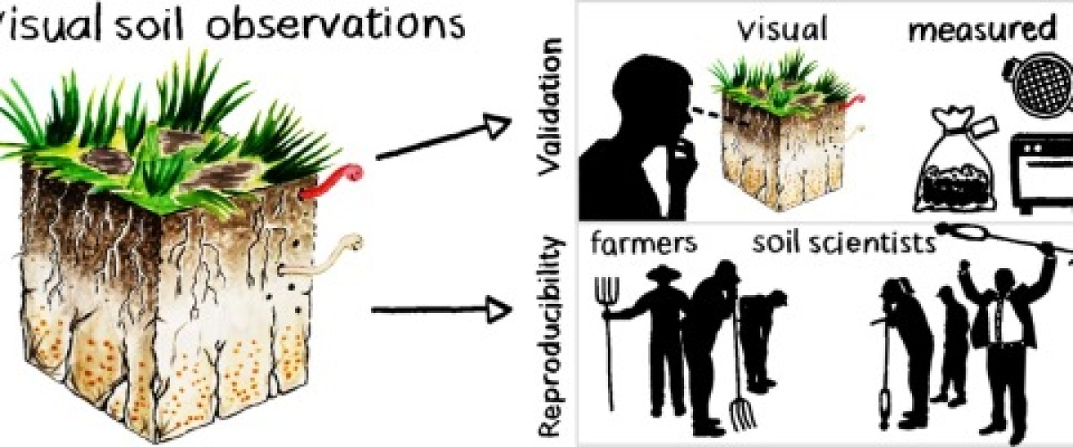 Bodemconditiescore: correctheid visuele bodemwaarnemingen wetenschappelijk onderzocht