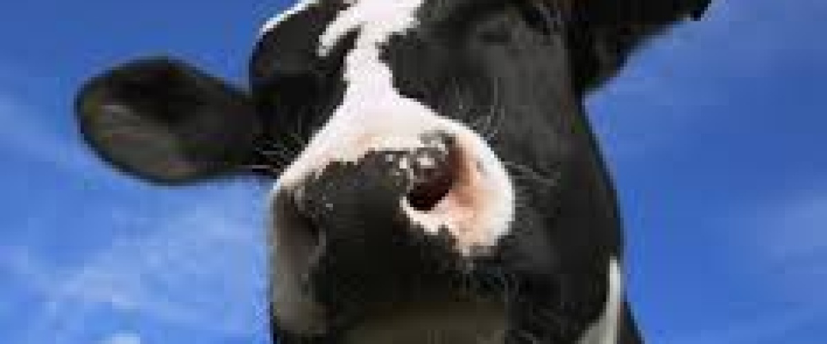 Limburg aan de slag met kringlooplandbouw