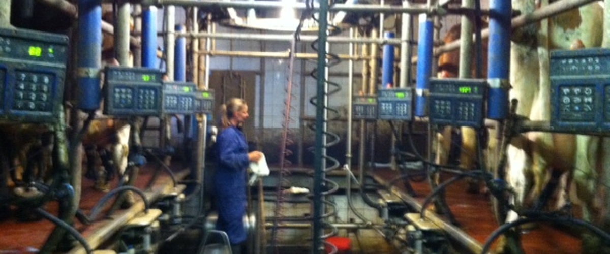 Bedrijfsportret Marije Klever