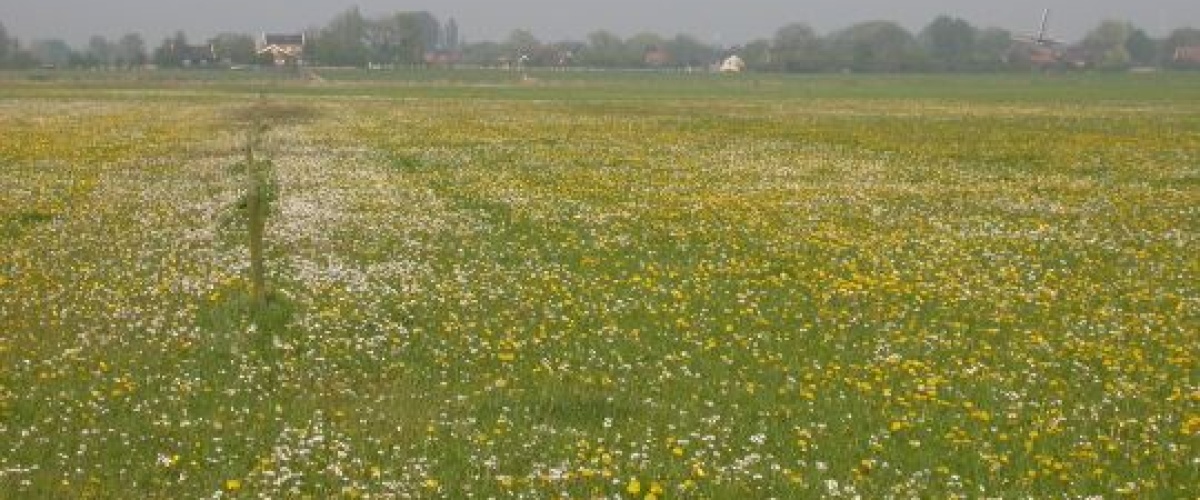 Het beste bouwplan met Boerenverstand