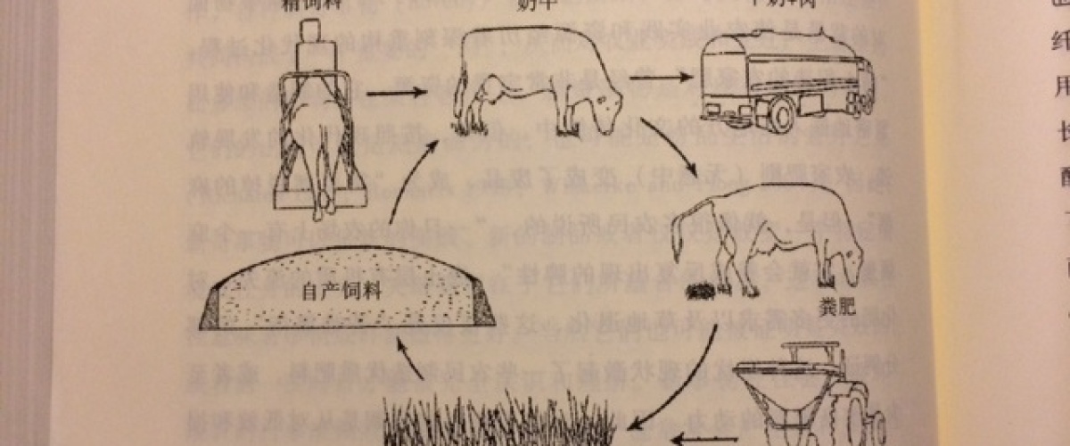 China aan de slag met kringlooplandbouw?!