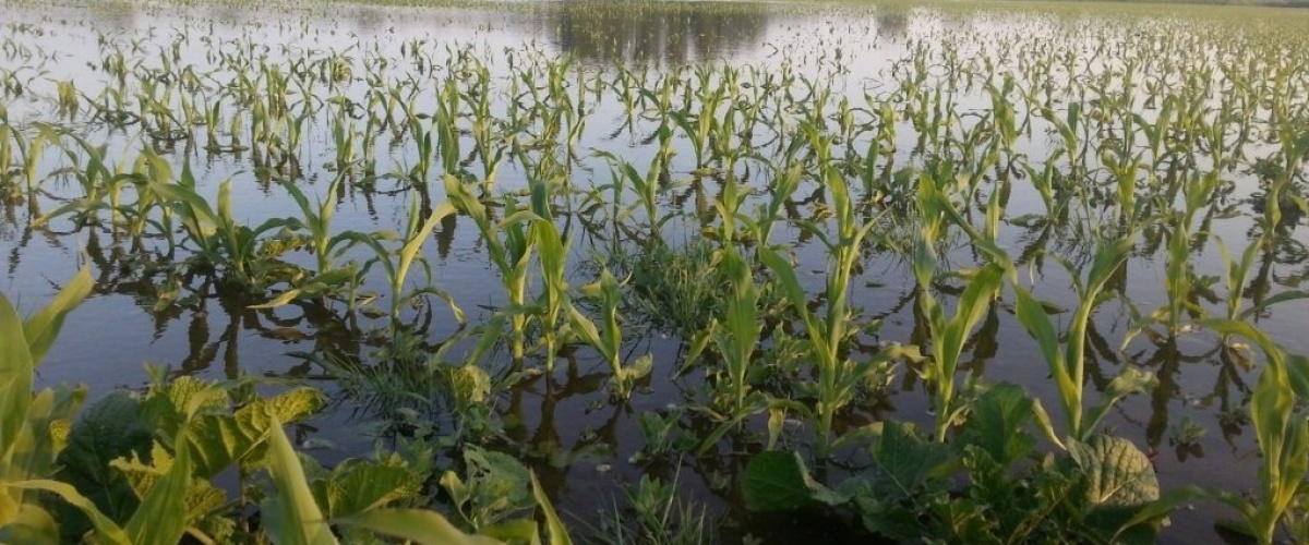 Normaal gaat het anders, maar dat is normaal