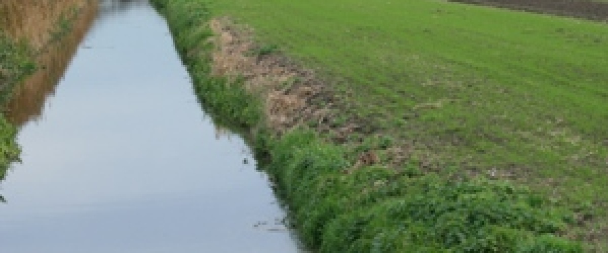 Project Kringlooplandbouw Bodegraven-Woerden boekt resultaat