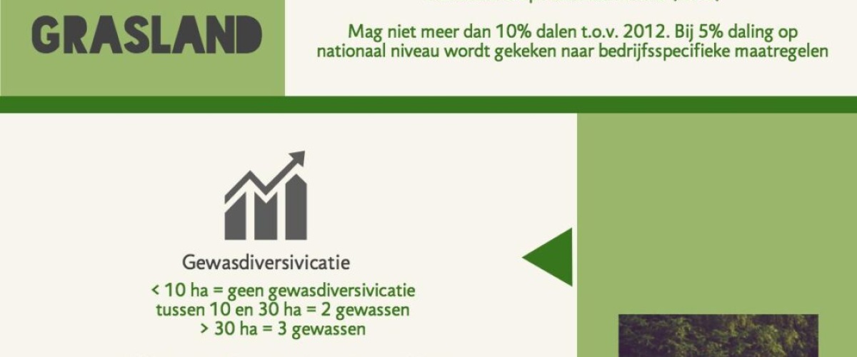Vergroening: Hoe werkt het?
