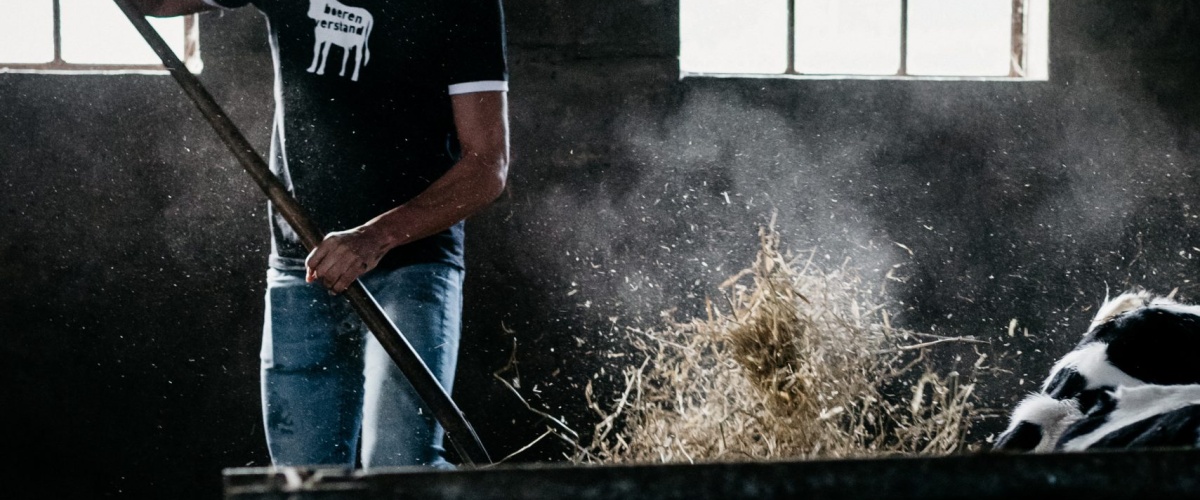 Simon Doornenbal: onze nieuwe medewerker