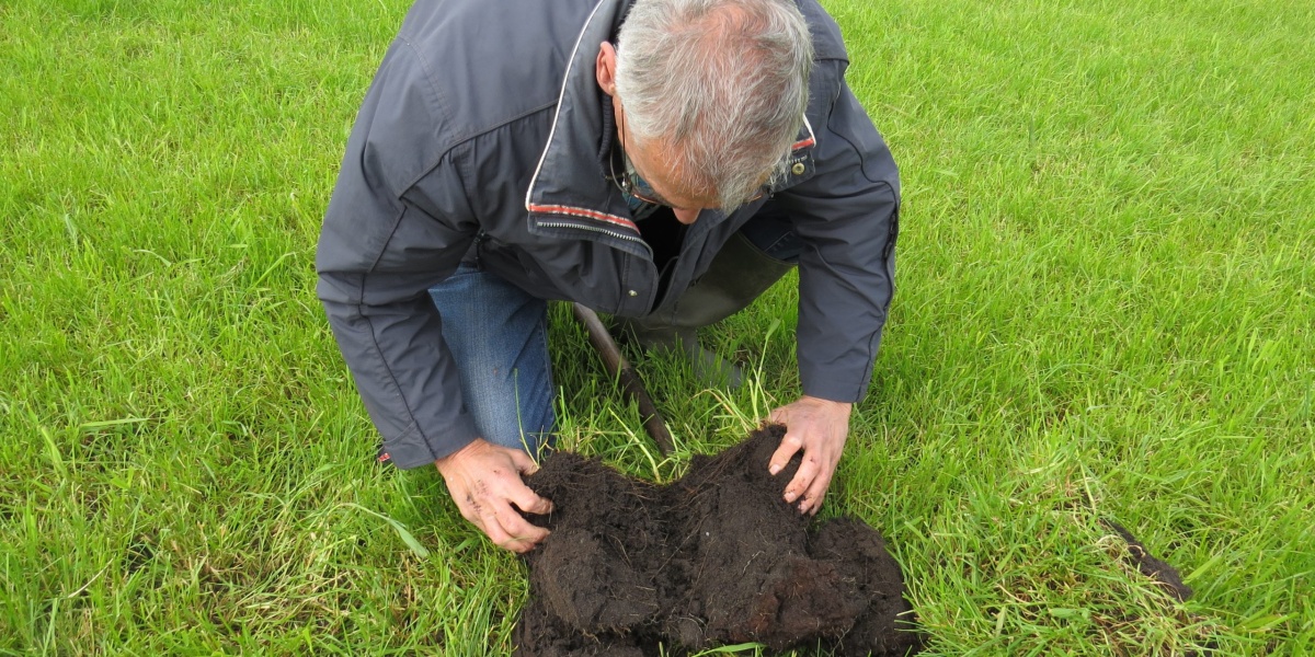 Bodemcursus Veenkoloniën