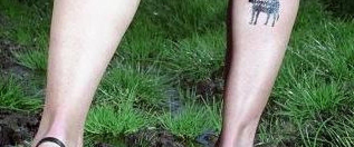 Kom jij ons team versterken?