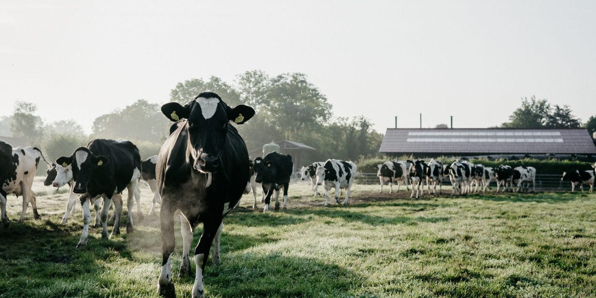 On the highway to PlanetProof!