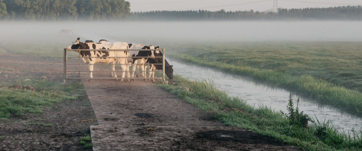 Onderzoek bevestigt: kringloopboeren loont!