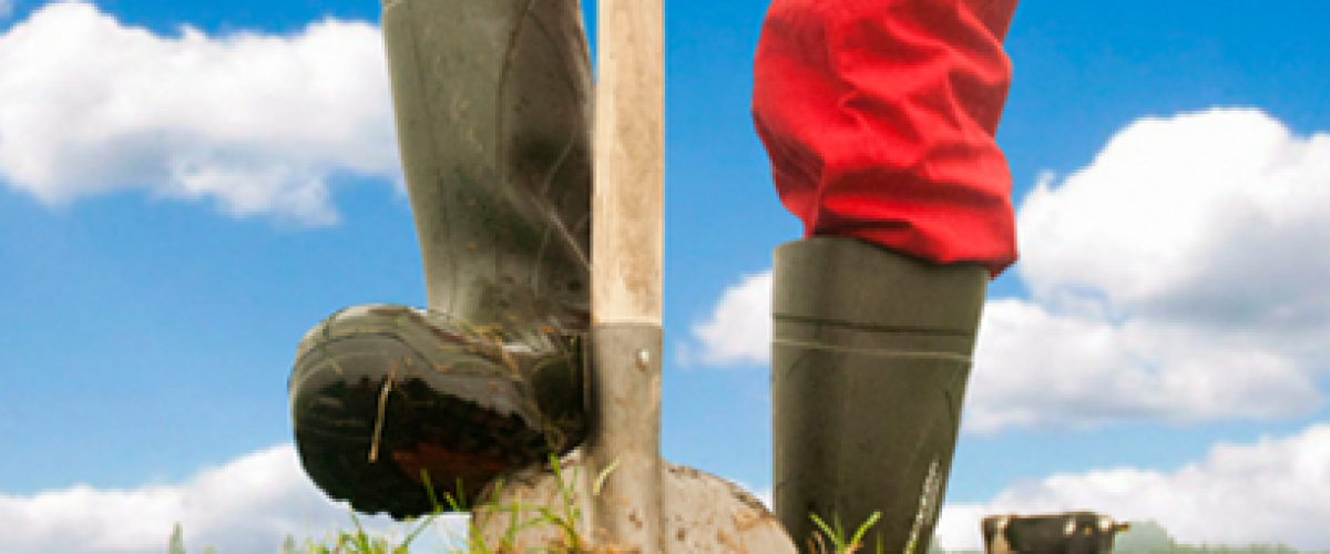 De bodempodcast informatiebank