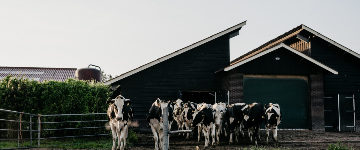 Noodkreet van een kringloopboer