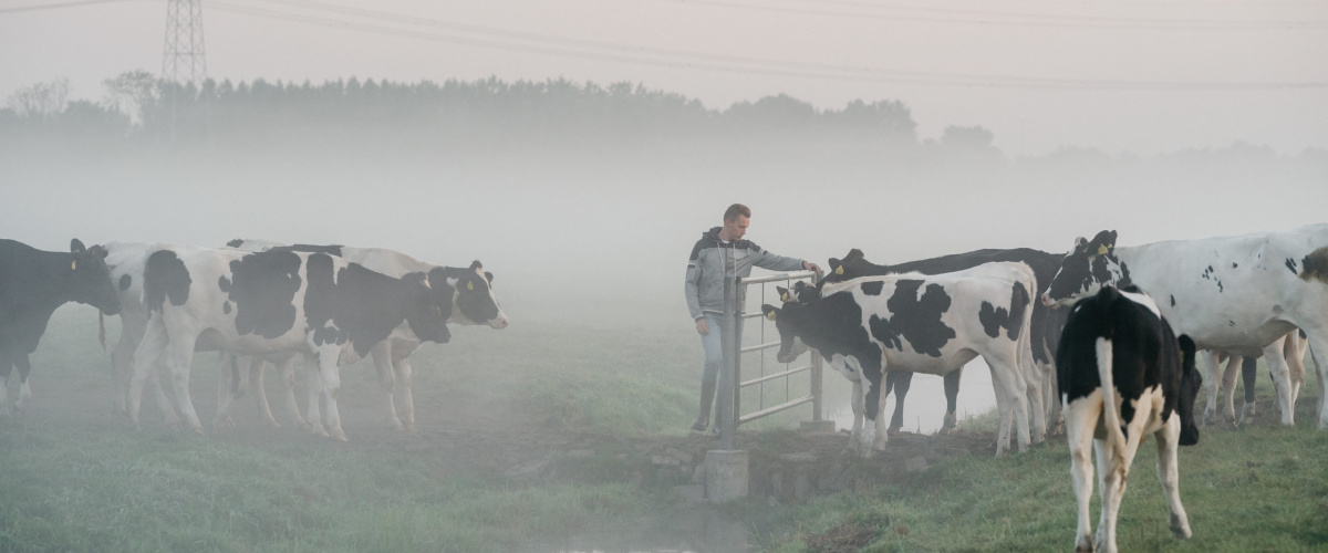 BODEM- EN WATERCOACHING UTRECHT