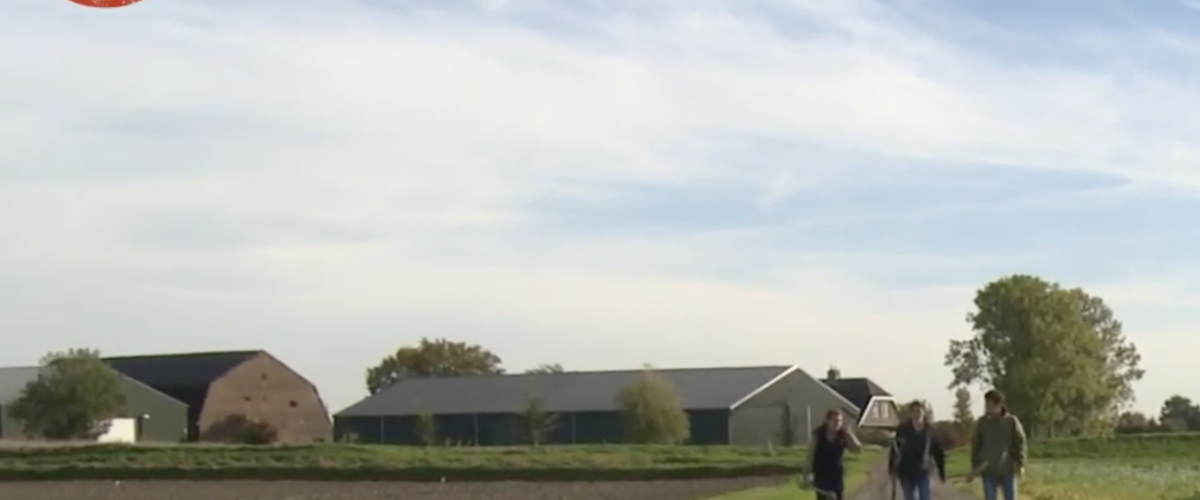 De Bodempodcast #8 Bemesting