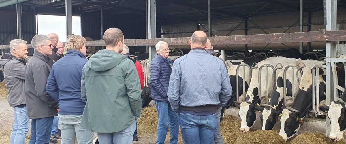 Themabijeenkomst Eiwit van eigen land voor CONO melkveehouders