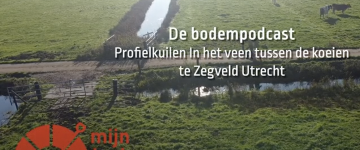 Bodempodcast #10 Maatregelen melkveehouderij: weidegang, alternatieve teelten op veen en wat is nieuw Nederlands Landgebruik?