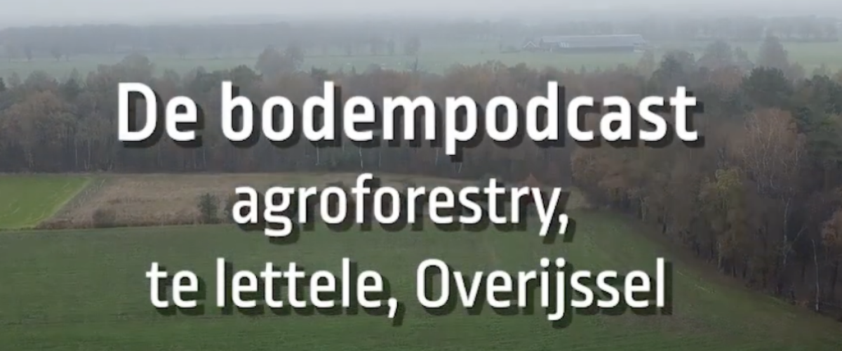 Bodempodcast #12 Bodem en klimaat: agroforestry, CO2 credits en nieuwe verdienmodellen