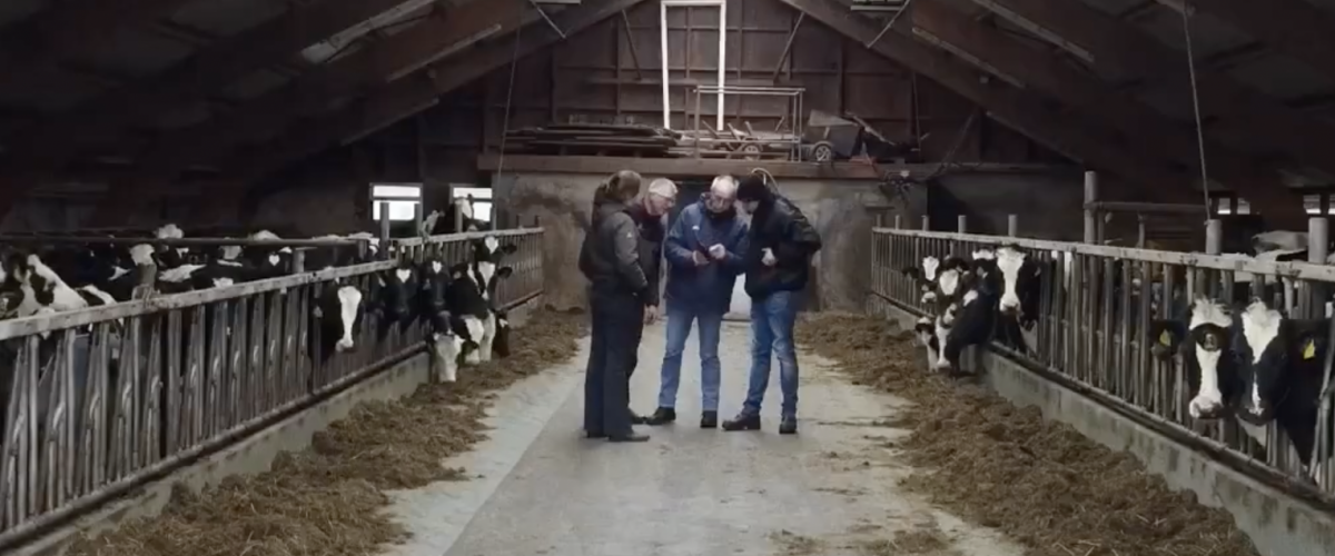 Bodempodcast #16 De kringloop van bodem, plant en koe. Wat is het belang van een goed werkende bodem voor de diergezondheid?