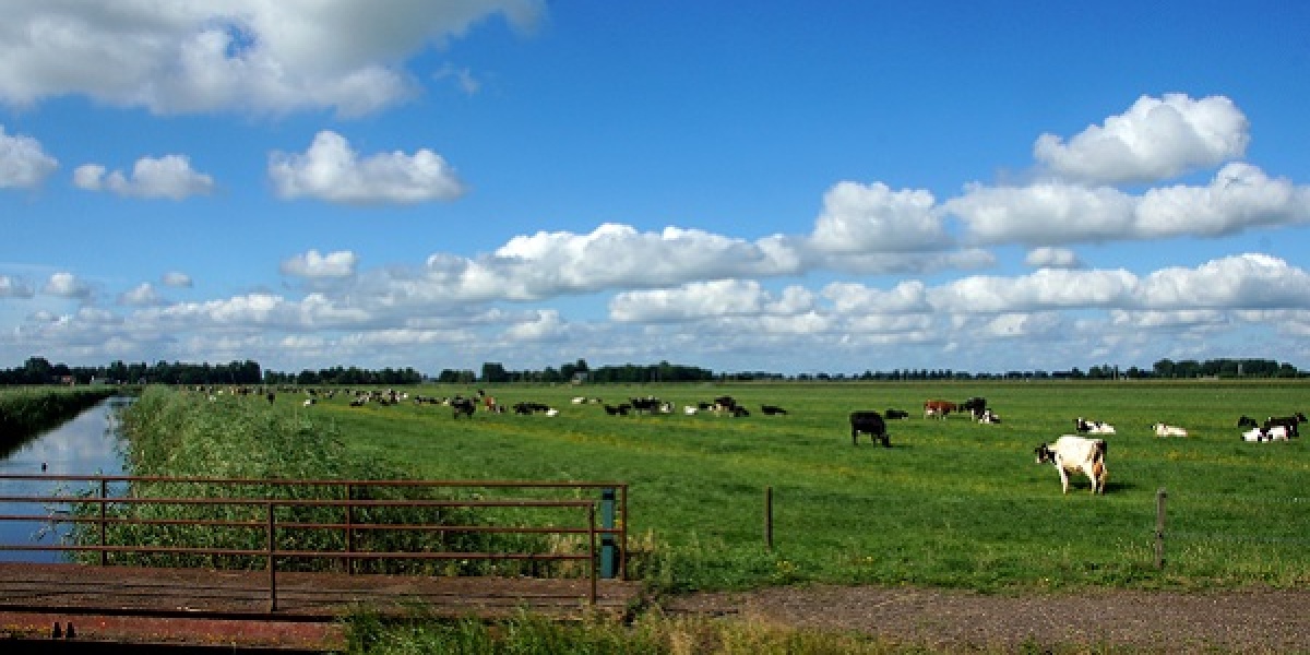 Water, Land en Dijken; Samenwerken aan biodiversiteitsprestaties