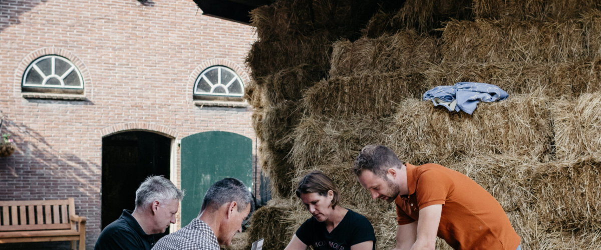 Kom jij ons team versterken?