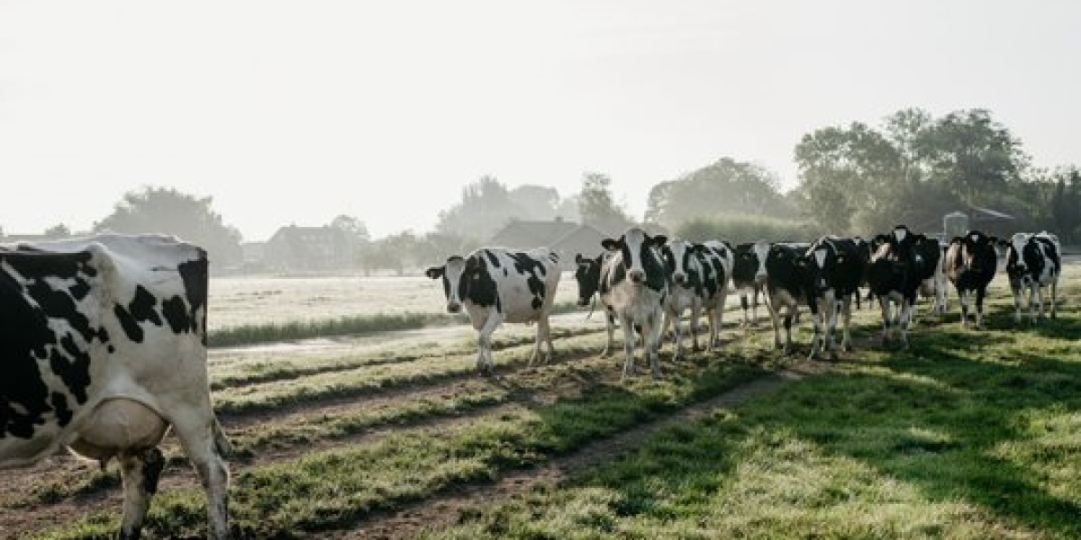 Klimaatworkshop FrieslandCampina