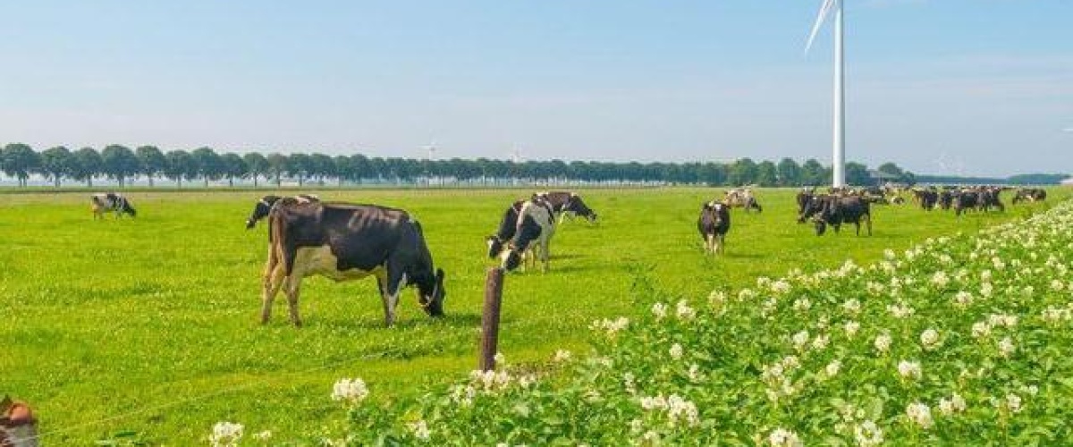 Werkconferentie over doelsturing en KPIs voor de landbouw