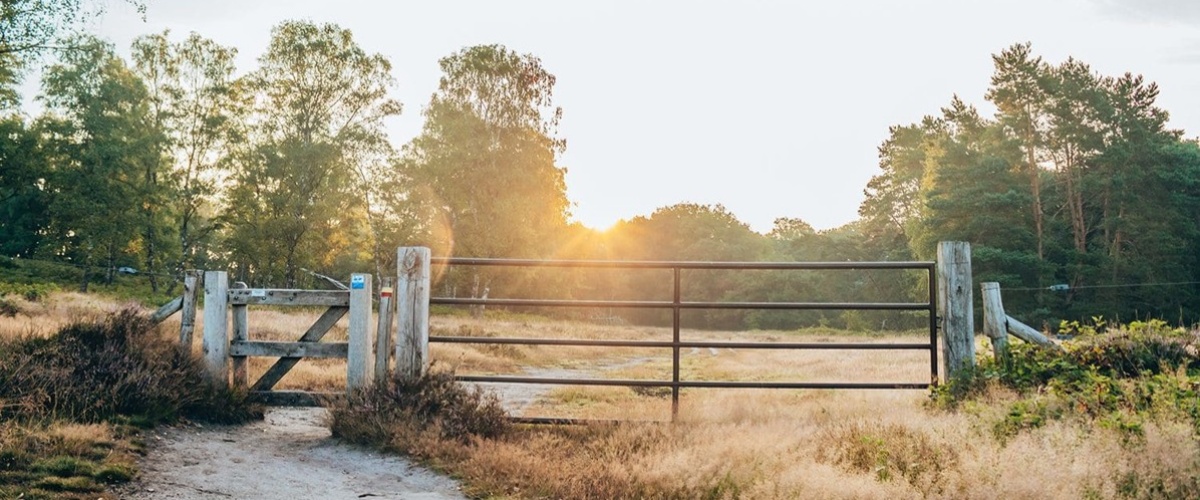 Emissiereductie in de praktijk: van provinciaal- naar bedrijfsniveau