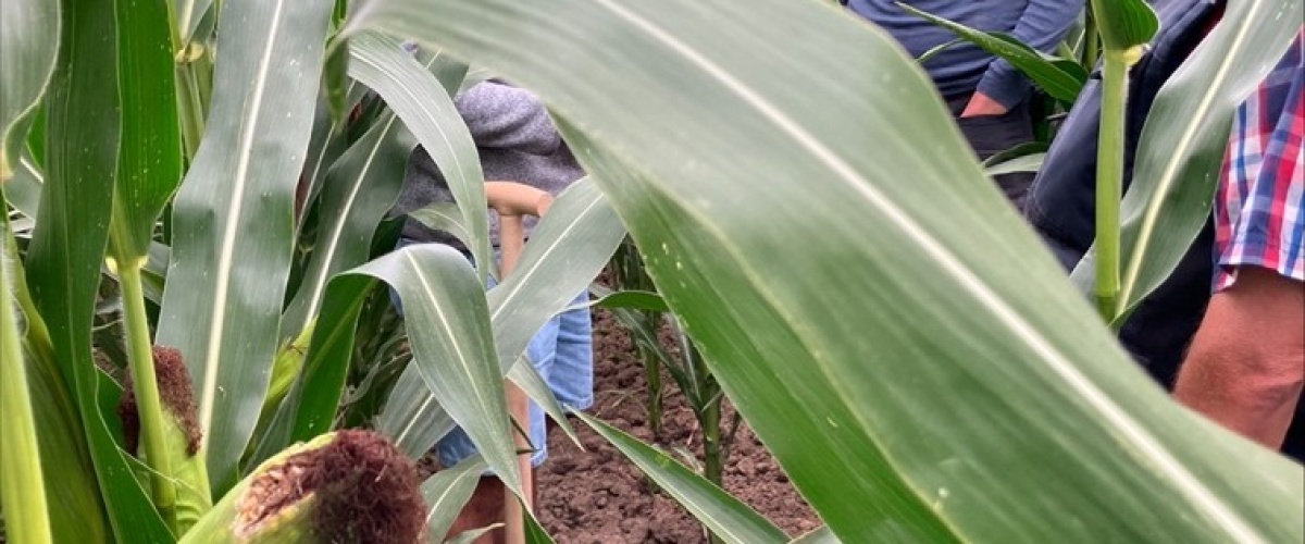 BodemUp bodemcoaching