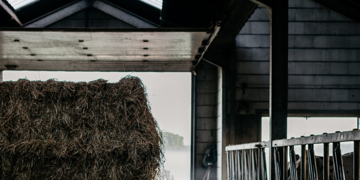 Onderzoek effectiviteit investeringssubsidies Overijssel