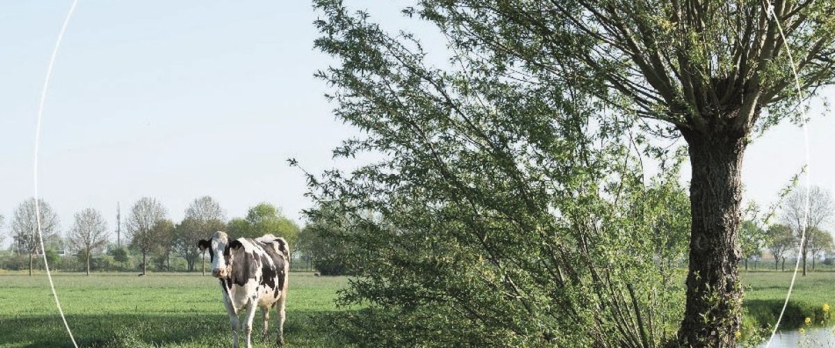 Rapport integrale KPI-Kernset gelanceerd!